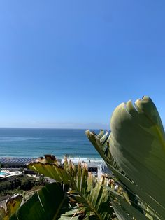 a view of the ocean and beach from an overlook point on a sunny day with blue skies