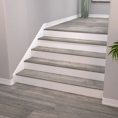 there is a plant sitting on the top of some stairs in this house with gray walls and wood flooring