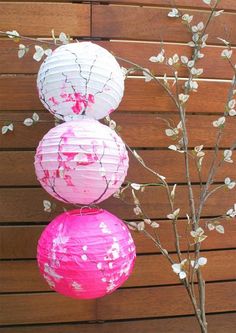 three pink and white paper lanterns hanging from a tree branch with flowers on the branches