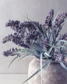 a vase with purple flowers in it sitting on a table