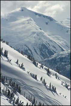 snow covered mountains with trees in the foreground