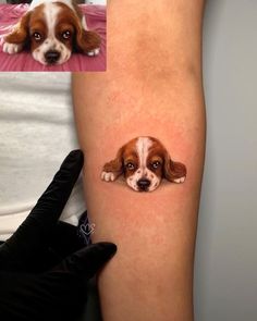 a dog's face is shown on the side of a woman's leg