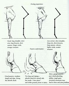 an instruction manual for how to use the foot and tendor in order to correct knee pain