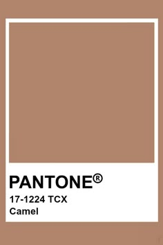 pantone's regal orchid color is shown in this image