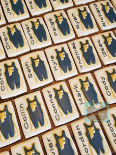 some cookies are arranged in the shape of police officers'vests and name tags