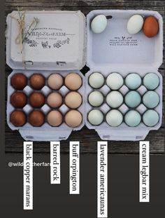 an open carton of eggs on a wooden table with information about the different varieties