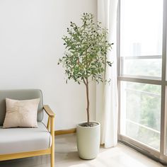 a potted plant sitting next to a chair in front of a window