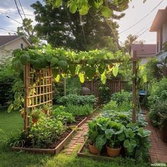 an outdoor garden with lots of plants growing in it