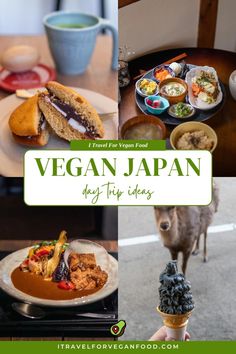 a collage of vegan food with the title vegan japan day trip ideas