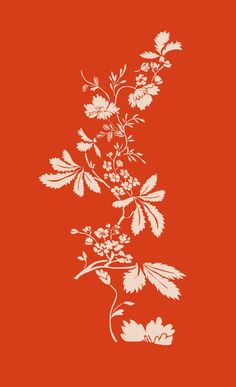 an orange background with white flowers and leaves