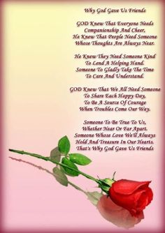 a red rose with the words god gave us friends