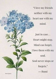 a blue flower on a white background with the words love my friends, never with my heart not with my mind