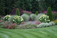 a lush green field filled with lots of flowers and plants next to trees in the background