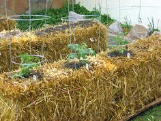 hay bales are stacked on top of each other with plants growing out of them