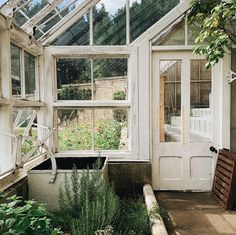 an old greenhouse with lots of windows and plants