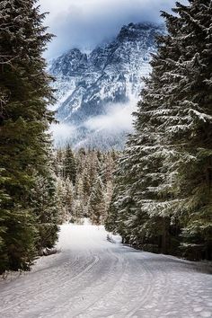 a snow covered road surrounded by trees and mountains in the distance with clouds rolling over them