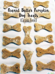 peanut butter pumpkin dog treats are on a sheet of parchment paper with the words, peanut butter pumpkin dog treats grain - free