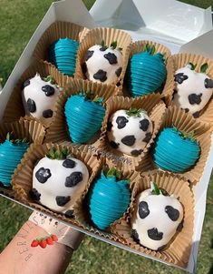 a person holding a box of chocolate covered strawberries in the shape of pandas