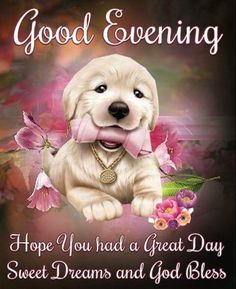 a white dog with pink flowers on it's chest and the words, good evening hope