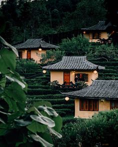 a row of houses sitting on top of a lush green hillside next to trees and bushes