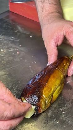 a person is peeling an animal's skin on a metal surface with their hands