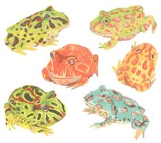 four different colored frogs sitting next to each other