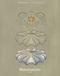 the front and back cover of biomiessis floor plan, with an image of two