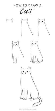 how to draw a cat step by step