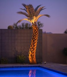 a tall palm tree next to a swimming pool at night with blue lights on it