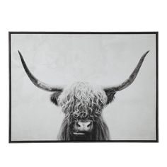 a black and white photo of a cow with long hair