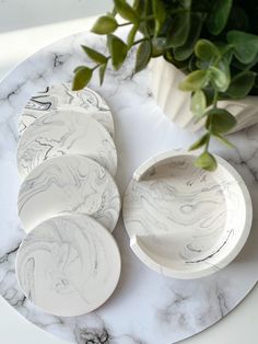 marbled plates are arranged on a white plate next to a green potted plant