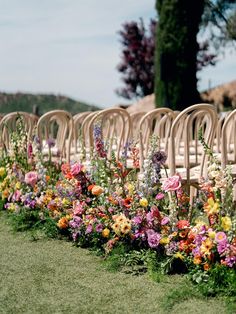 rows of chairs lined up with flowers in the foreground and trees in the background