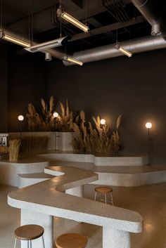 an empty room with several stools and plants on the wall behind it, in front of some lights