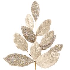 a white plant with glitter leaves on it