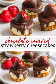 chocolate covered strawberry cheesecakes on a white plate with strawberries in the background