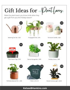 the gift ideas for plant lovers