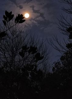 the full moon is seen through some trees