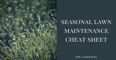 the words seasonal lawn maintenance and heat sheet are in front of grass with dew on it