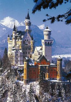 the castle is surrounded by snow covered trees