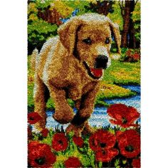 a dog is running through the grass with red flowers on it's back end