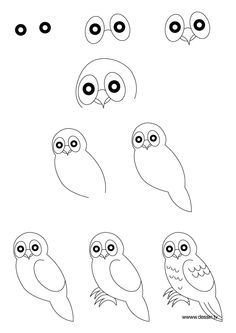 how to draw an owl with different eyes