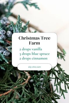 Festive Christmas Essential Oil Blends Doterra Christmas Blends, Wintergreen Oil Blends, Christmas Spirit Essential Oil Blends, Doterra Christmas, Christmas Aromatherapy Blend, Christmas Tree Diffuser Blend Doterra, Christmas Tree Essential Oil Blend, Homemade Massage Oil