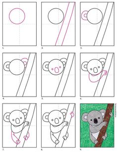 step by step instructions to draw a koala bear on a tree branch for kids