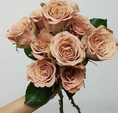 a hand holding a bouquet of pink roses