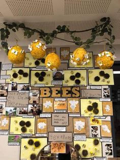 a bulletin board with pictures and flowers hanging from it's sides on the wall