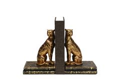 two golden cats sitting next to each other on top of bookends with one cat facing the other way