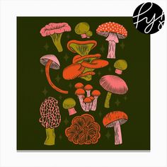 an illustration of mushrooms and stars on a dark green background with red, pink, orange, and green colors