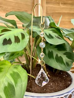 a potted plant with green leaves and some glass beads hanging from it's hooks