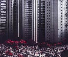 an aerial view of some very tall buildings in the city with red trees growing out of them