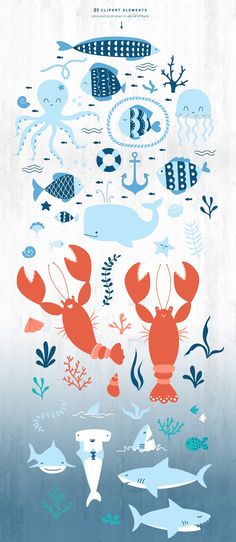 a poster with different types of fish and sea animals on the bottom half of it